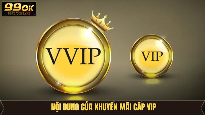 Một số ưu đãi độc quyền chỉ dành riêng cho khách hàng VIP